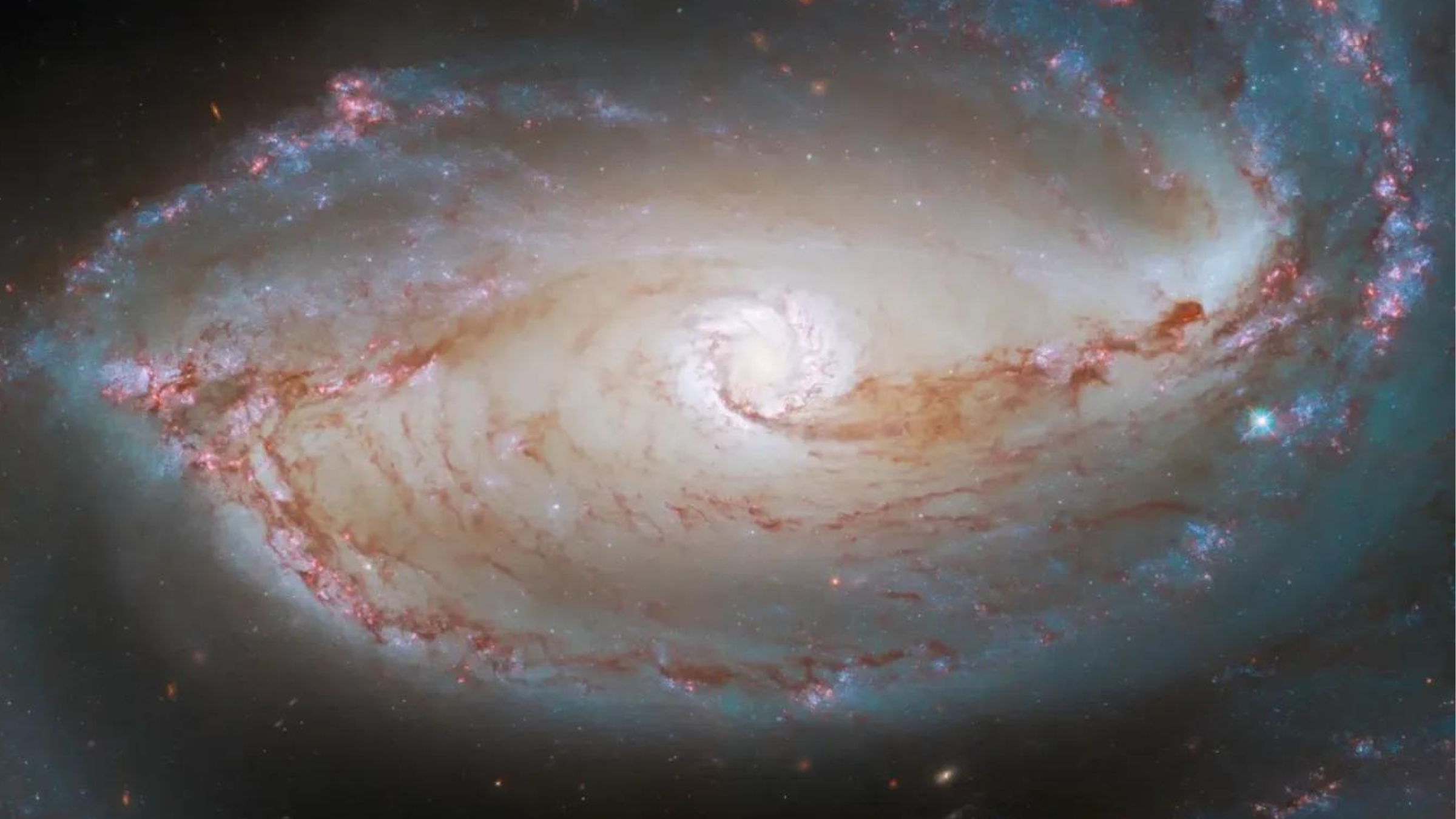 This image shows the heart of the barred spiral galaxy NGC 1097, as seen by NASA’s Hubble Space Telescope.